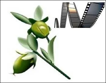 Que traite l'huile de jojoba, au sens propre du terme bien sûr !