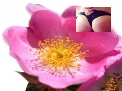 Odeur subtile pour une huile dont les vertus seraient d'apaiser ------- en plus de nourrir et assouplir les peaux sèches.