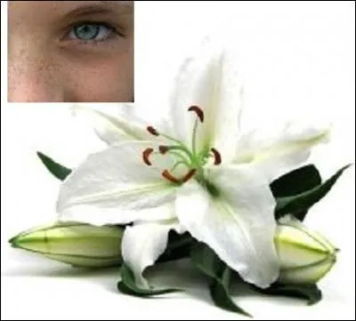 Son huile est apaisante, hydratante mais a une autre propriété, laquelle ?