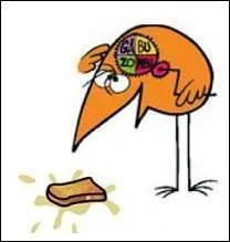 Le Shadok se dit « La tartine tombe toujours du côté beurré ». Mais, que signifie cette expression ?