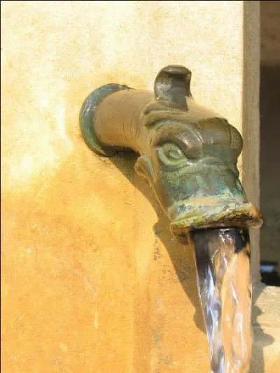 Je fais mon beurre avec de l'eau. Qui suis-je ?