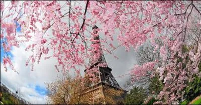 De qui sont les paroles "Montmartre, en ce temps là accrochait ses lilas jusque sous nos fenêtres" ?