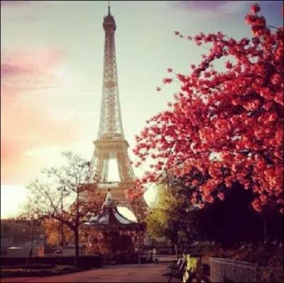 C'est Patrick Bruel qui remit ces paroles au goût du jour " Paris je t'aime, je t'aime, je t'aime, avec ivresse, comme une maîtresse" Mais qui les chantait dans les années 50 ?