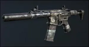 Quelle est cette arme ?