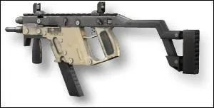 Quelle est cette arme ?