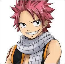 Quelle est la couleur des cheveux de Natsu ?