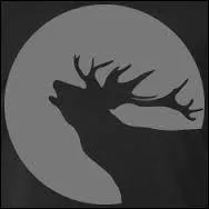 Quel est cet animal ?