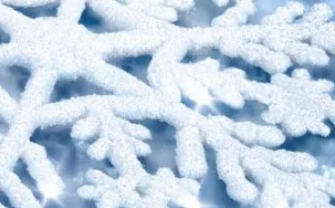 Quiz Ecrivains