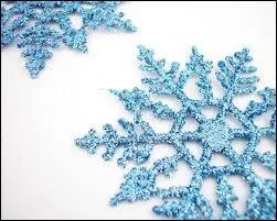 Qui a prononcé cette phrase : "Si éclairants soient les grands textes, ils donnent moins de lumière que les premiers flocons de neige" ?