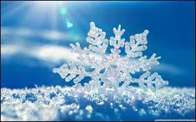 Qui a prononcé cette phrase : "Qui se fie aux femmes écrit dans la neige" ?