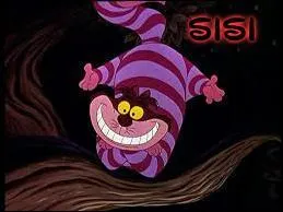 Au moment où Thrudon et Jim s'enfoncèrent brusquement dans le sol, ça n'allait pas très bien pour Sisi. Elle devenait peu à peu transparente ; à la fin, on ne voyait que sa bouche, comme le chat du film d'animation "Alice au pays des merveilles" :