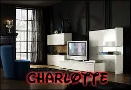 Pendant ce temps, Charlotte s'était également réveillée, mais demeurait les yeux fermés. Elle se rendit soudain compte qu'elle ne se trouvait plus dans la tente... Mais dans une étrange pièce dotée d'un unique écran sur lequel elle pouvait voir l'intérieur de la tente. En parlant de télévision, sur quelle chaîne visionne-t-on Télématin ?