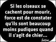 ' La caroncule, qu'on se le dise, est à l'autre bout de l'oiseau, puisqu'il s'agit de ce machin ridicule que le dindon se laisse pendre sous le cou pour essayer d'avoir l'air plus con que le paon. ' Vous aurez reconnu l'auteur de cette citation, mais quel est-il tout de même ?