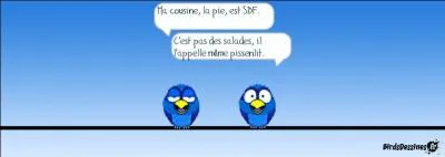 Si vous êtes comme une pie, comment êtes-vous ?