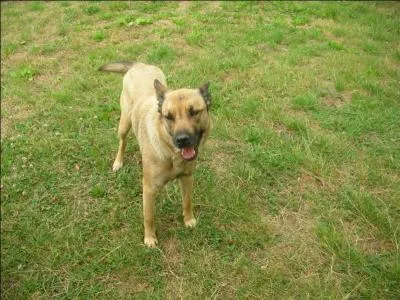 Selon une expression célèbre, on peut s'entendre comme...