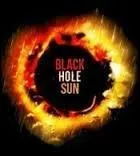 En 1994, l'un de ces groupes de rock fit un carton avec le titre "Black Hole Sun". Il s'agit de :