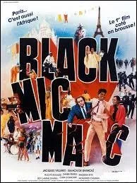 Sorti en salles en 1986, "Black Mic-Mac" est une comédie française réunissant notamment à l'affiche Jacques Villeret et Isaach de Bankolé. Qui est le réalisateur de ce film ?