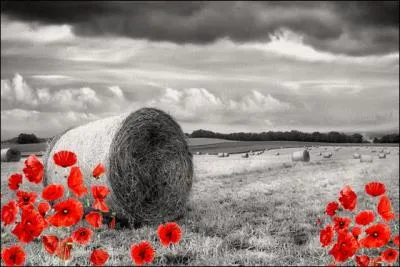Durant la fenaison, comment se nomme l'action de compacter le foin, de sorte à faire des bottes (ou des balles) ?