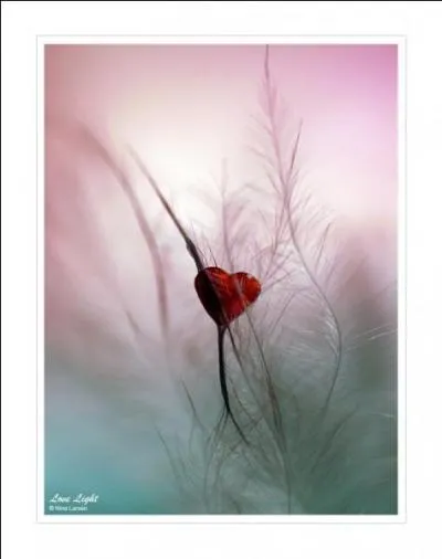 Donnez-moi le nom d'une petite tomate allongée :