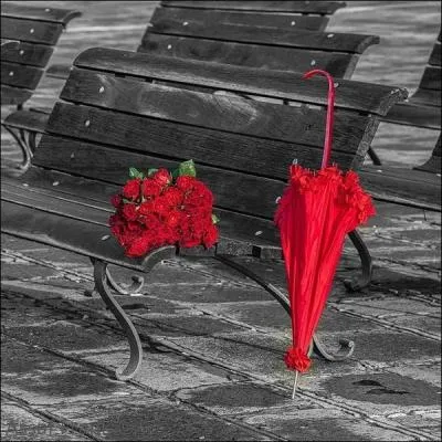 Quelle ville revendique l'honneur d'être la capitale du parapluie ?