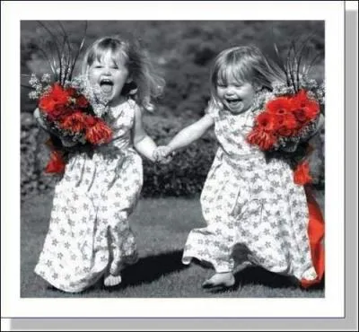 De quelle couleur étaient vêtues les deux petites filles de Mary Higgins Clark ?