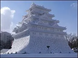 Dans quel pays a lieu chaque année le "Festival de la neige de Sapporo" ?