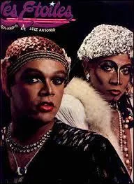 Tant d'étoiles ! Les étoiles est le nom de cet excellent duo de chanteurs de nationalité... ?