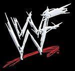 Sur l'image, vous pouvez voir le logo de la la World Wrestling Federation de 1997 à 2002.