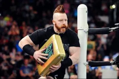 Sheamus est l'actuel WWE World Heavyweight Championship. (28 novembre 2015)