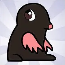 Je fais des vidéos de "Top..." et je m'appelle Thomas.
Qui suis-je ?