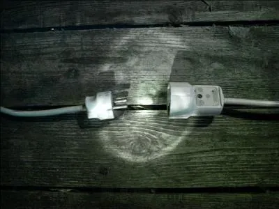 A quelle chanteuse vous renvoie cette photo ?