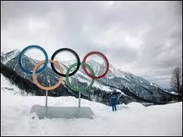 Dans quelle ville se sont déroulés les Jeux Olympiques d'hiver de 2006 ?