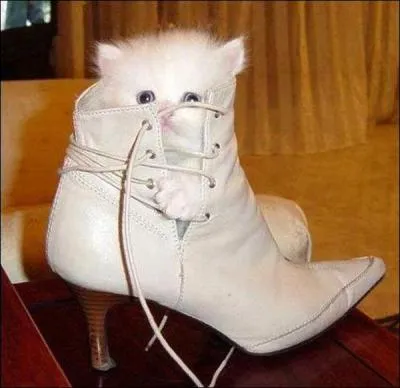 Petite botte dont la tige a peu de hauteur :