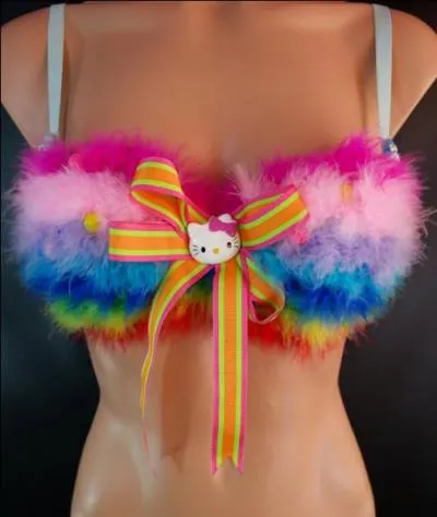 Chacune des deux poches d'un soutien-gorge :