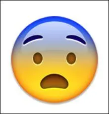 Comment appelle-t-on quelqu'un de peureux ?