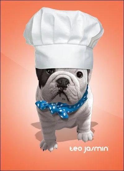 Coment s'appelle-t-il ?