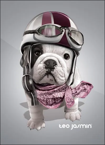 Comment s'appelle-t-elle ?