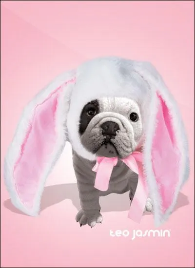 Comment s'appelle-t-il ?