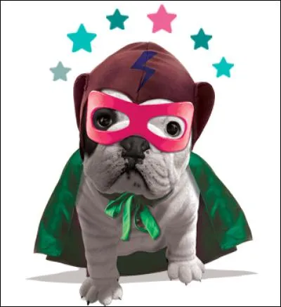 Comment s'appelle-t-il ?