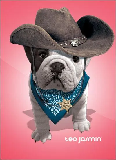 Comment s'appelle-t-il ?