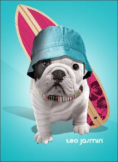 Comment s'appelle-t-il ?