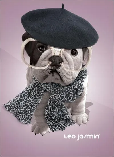 Comment s'appelle-t-elle ?