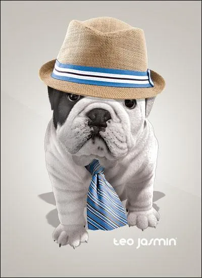 Comment s'appelle-t-il ?