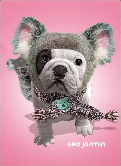 Comment s'appelle-t-elle ?