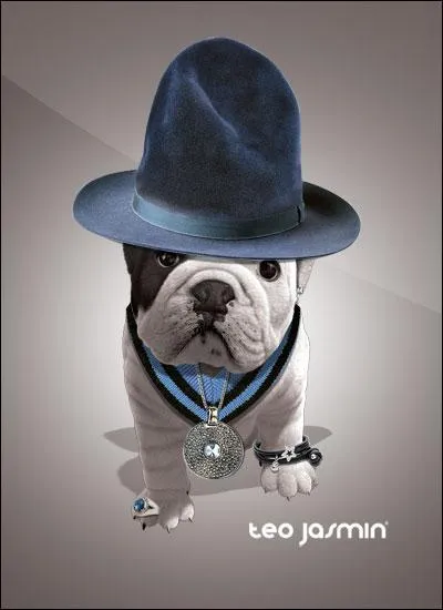 Comment s'appelle-t-il ?