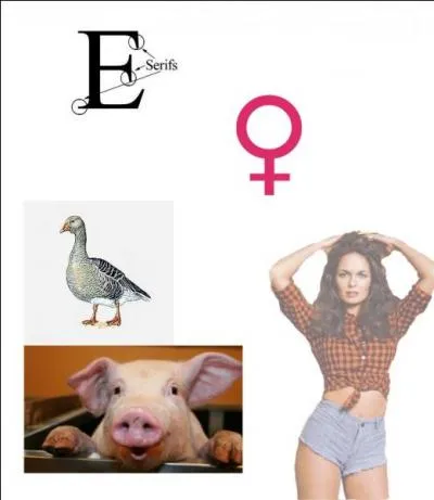 Il y avait, dans cette série d'un goût douteux, une pin-up de service qui se trimbalait, qu'il pleuve ou qu'il neige, en mini-short en jean. Comment s'appelait ce nanar des samedis après-midis pluvieux ?