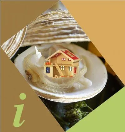 Dans cette série "culte" (ce mot m'énerve ! ), les personnages sont censés avoir habité le Wisconsin, le Kansas, le Dakota, l'Iowa... alors que tout a été tourné en studio à Hollywood ! Vous m'en direz tant, ma bonne dame !