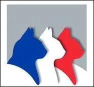 Quelle est l'association la plus ancienne ?