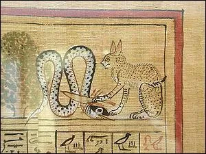 Quelle est la race la plus ancienne ?