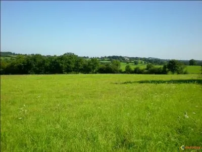 Qu'est-ce qui est le plus grand ?